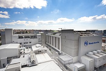 Mustafa Nevzat İlaç Fabrikası